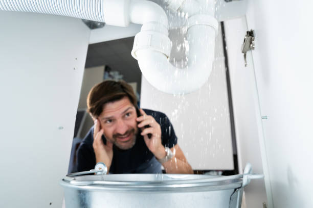 Best Plumbing Repair Near Me  in Cornersville, TN