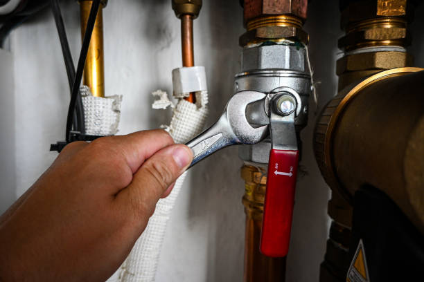 Best Septic Systems  in Cornersville, TN